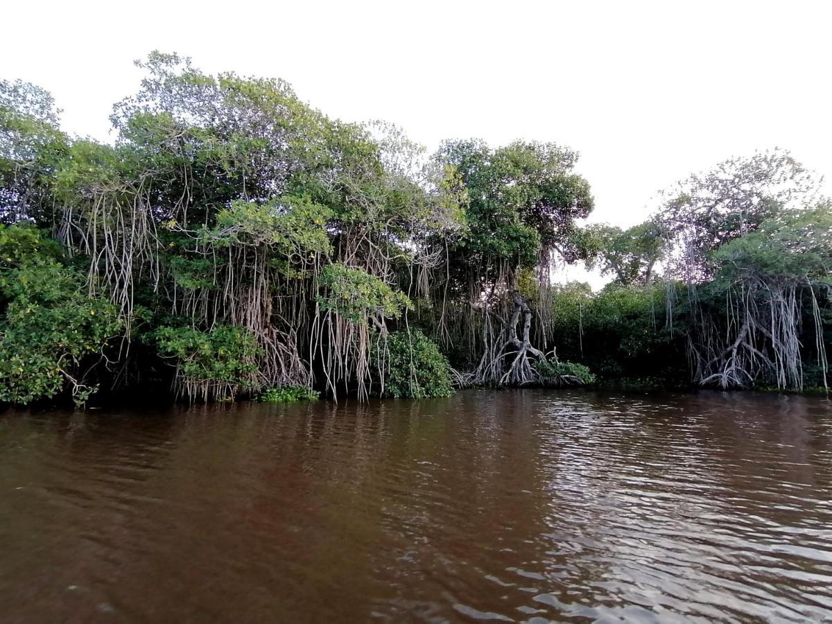 Don Luis Hostal - Sucursal Galeana - Tecolutla Bagian luar foto